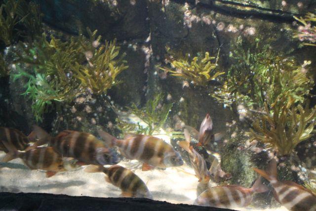 foto3